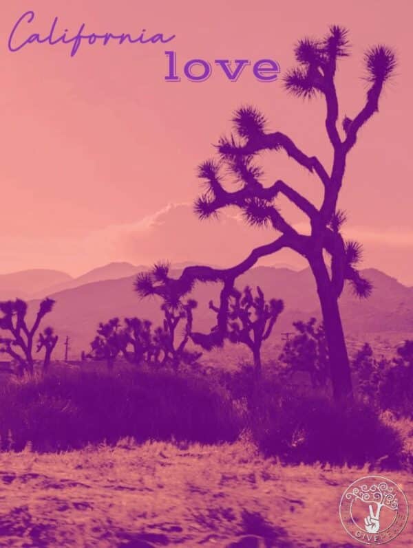 Maybe California