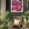 CHERRYBLOSSOM-ZAAK Cherrybomb