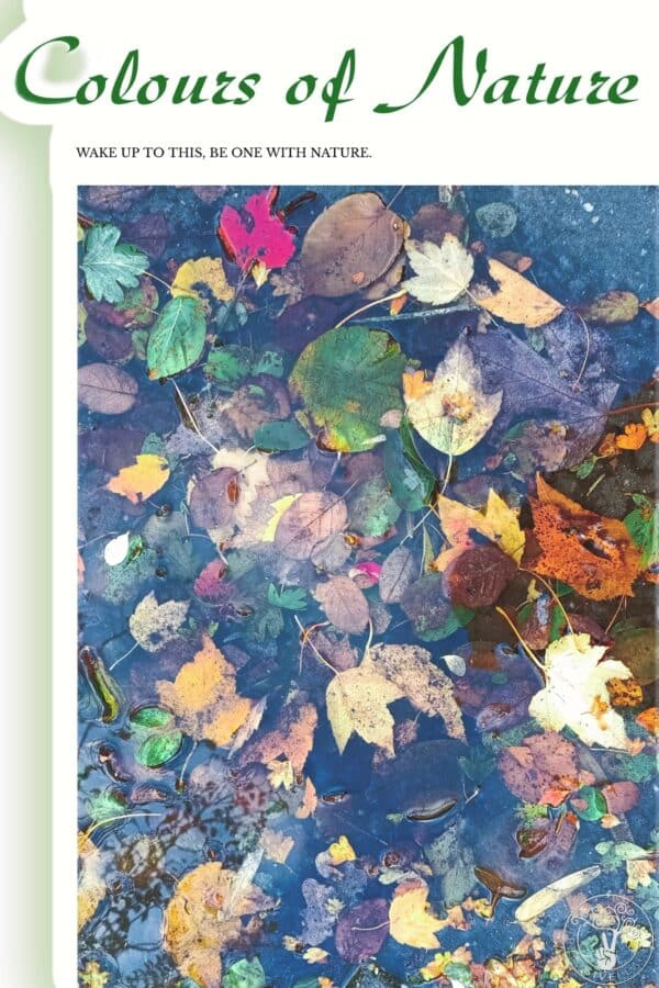 Colours of Nature