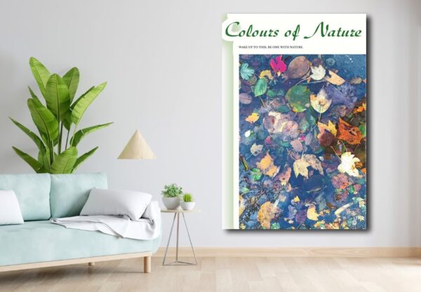 Colours of Nature