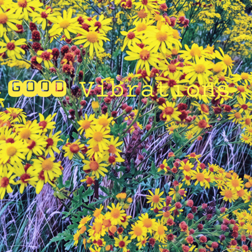 Good Vibrations