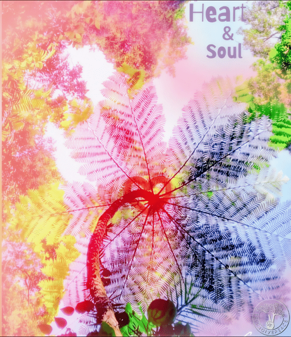 HEART-AND-SOUL-LOGO-pica-scaled Heart & Soul
