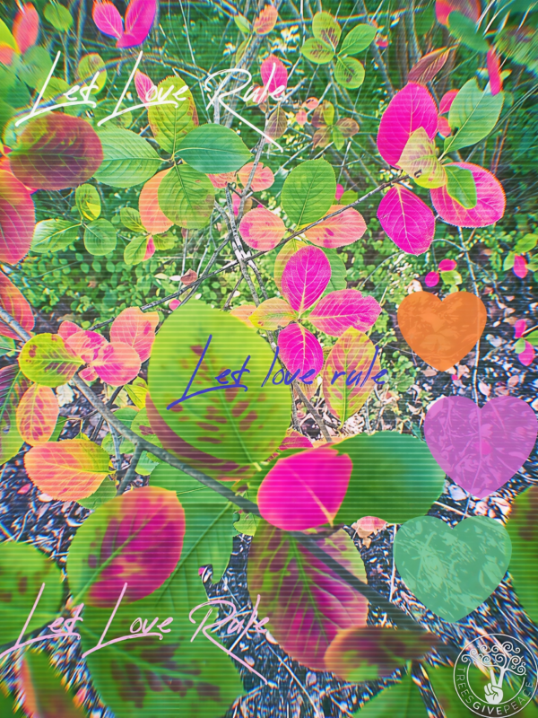 LET-LOVE-RULE-LOGO-pica-scaled Let Love Rule