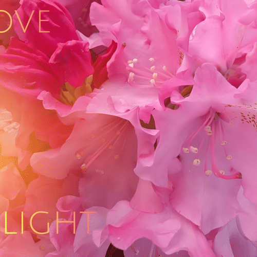 Love and Light