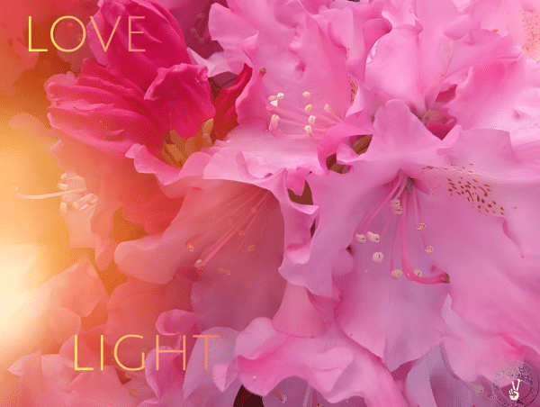 Love and Light