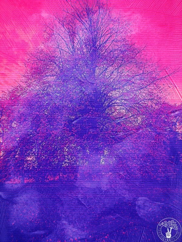 MOON-S-MYSTERY-TREE-LOGO Moon s Magical Mystery Tree
