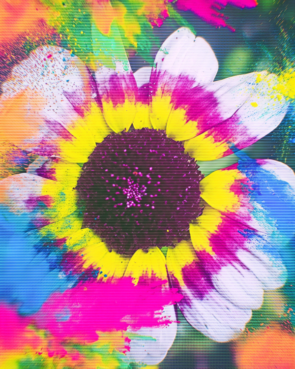 SUMMER-OF-2025-COLOURS-Pica-scaled Summer of 2025