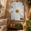 690856021_831900776631309_5268300463364230100_n White Beauty