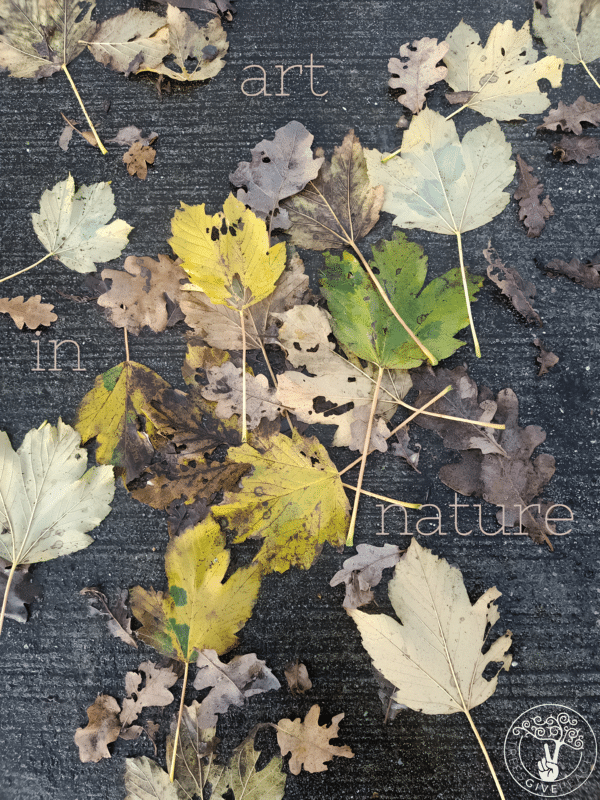 ART IN NATURE LOGO-pica Art in Nature