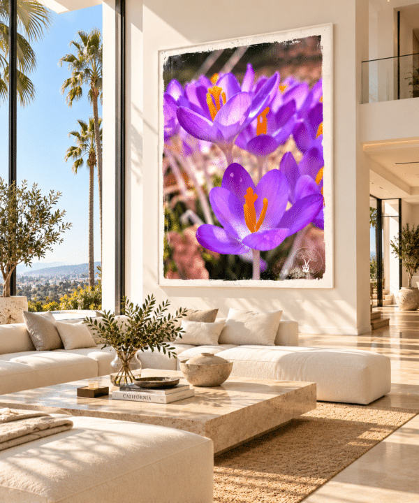 Crocus Vibes