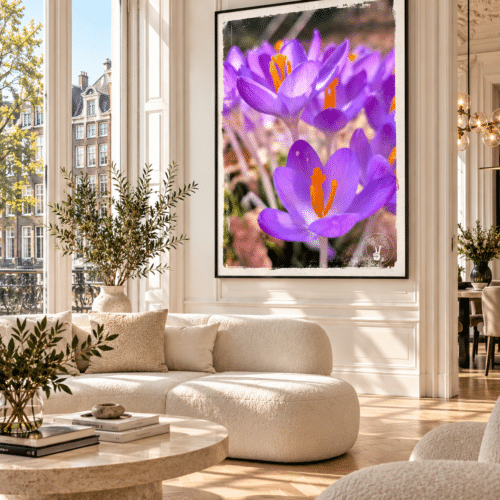 Crocus Vibes