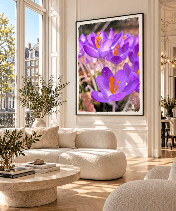 Crocus Vibes