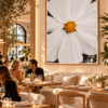 CANVAS WHITE ZEN RESTAURANT White Zen