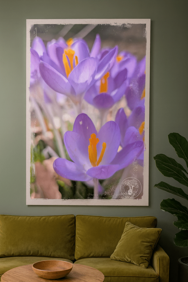 Copilot_20260304_161802 Crocus Vibes