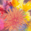 Dandelion Power