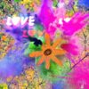 Flowerpower