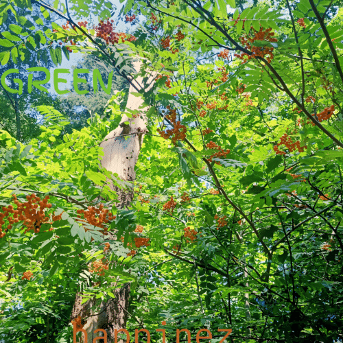 Green Happinez