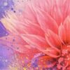 HAPPY VIBES DETAIL LOGO Living Colour