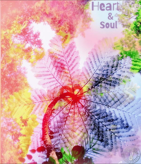 Heart & Soul