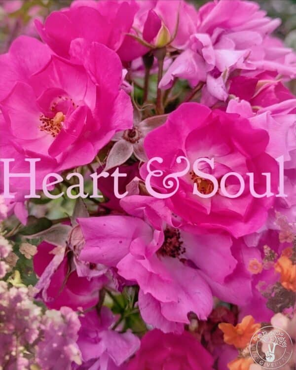 Heart & Soul