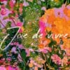 Joi de Vivre