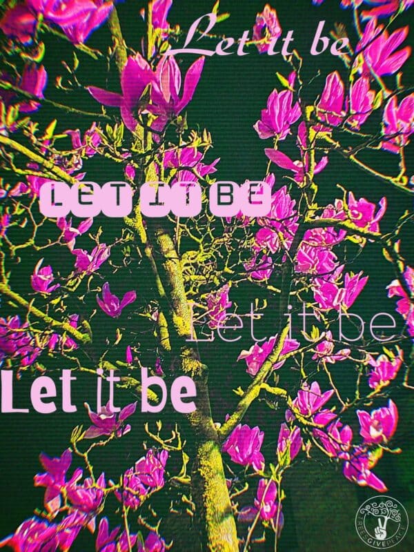 Let it be Magnolia