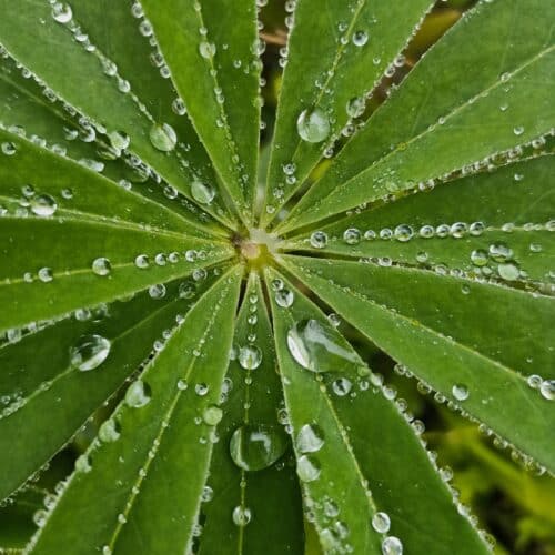Let it Rain