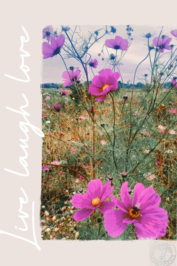 Live Laugh Love