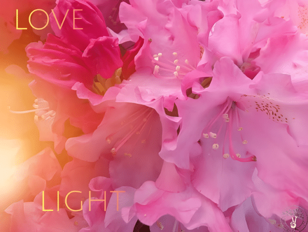 LOVE AND LIGHT LOGO-pica Love and Light