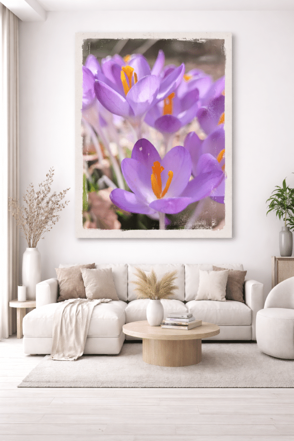 Moderne-woonkamer-met-paarse-krokussen Crocus Vibes