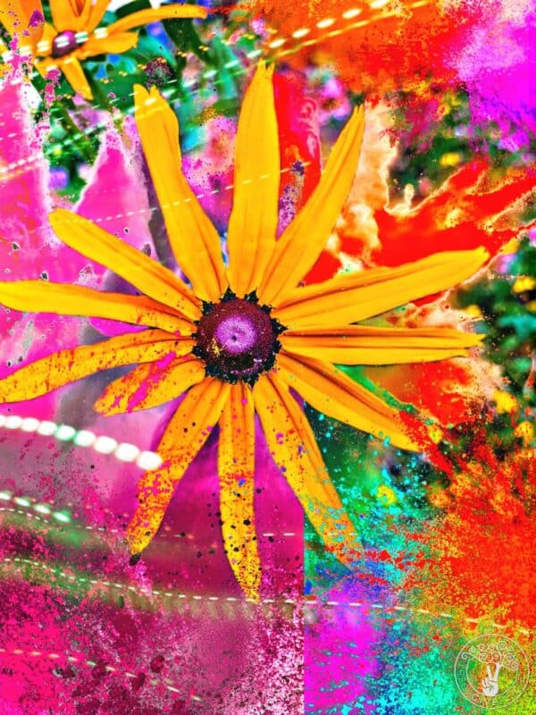 POWER OF A FLOWER LOGO Power of a Flower