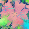 Pretty Pink Summer Soul