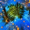 Reflections of Nature