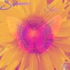 Summer Soul
