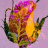 Summerleaf