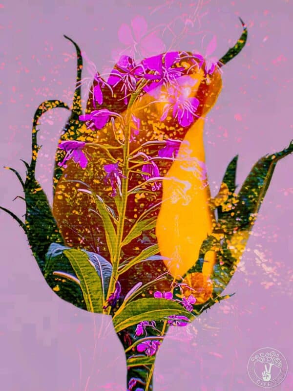 Summerleaf