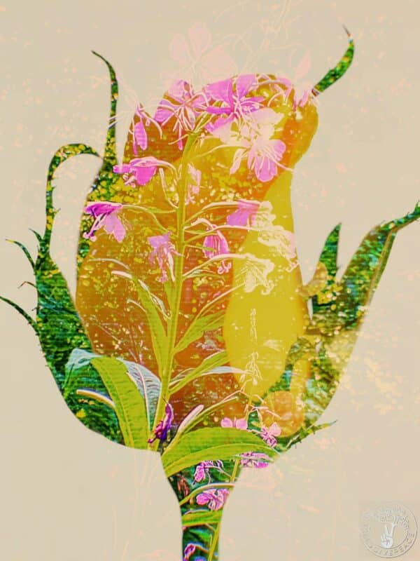 Summerleaf