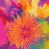 WILD BLOOM LOGO Wild Bloom