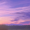 ZENMOMENT PURPLE LOGO-pica Zen