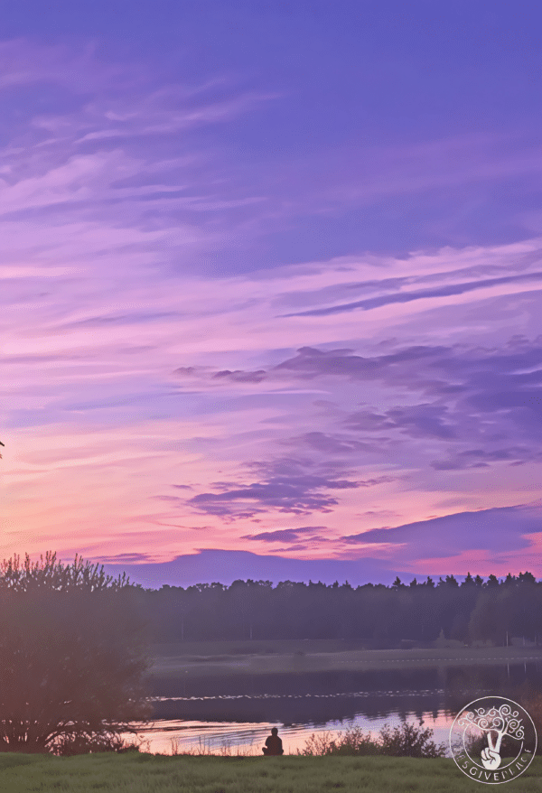 ZENMOMENT PURPLE LOGO-pica Zen